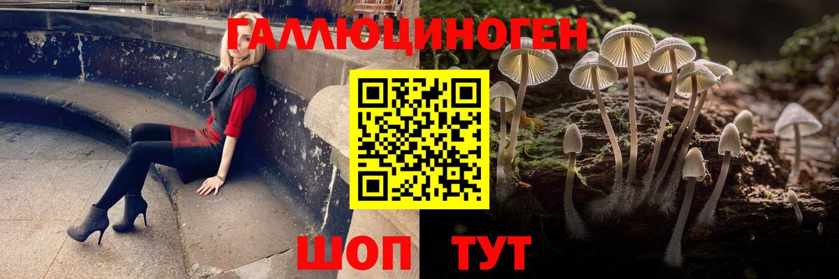 Саяногорск  Псилоцибиновые грибы Cubensis  Галлюциногенные грибы Psilocybe  Вход с VPN 